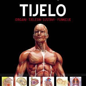 Tijelo – znanje o svijetu oko nas