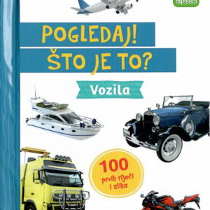 Vozila – što je to?